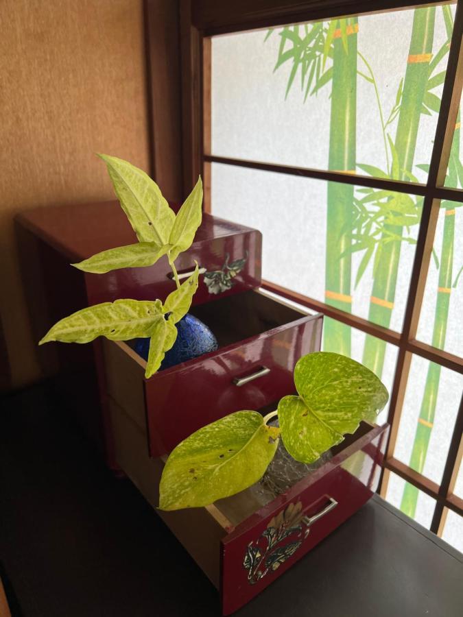 ゆい屋 Villa Ishigaki  Exterior photo